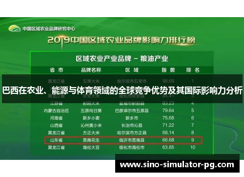 巴西在农业、能源与体育领域的全球竞争优势及其国际影响力分析 巴西在农业、能源与体育领域的全球竞争优势及其国际影响力分析
