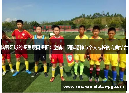 热爱足球的多重原因探析：激情、团队精神与个人成长的完美结合