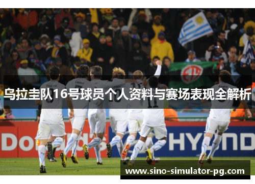 乌拉圭队16号球员个人资料与赛场表现全解析