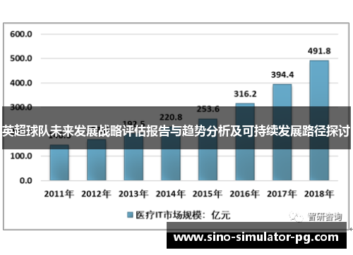 英超球队未来发展战略评估报告与趋势分析及可持续发展路径探讨 英超球队未来发展战略评估报告与趋势分析及可持续发展路径探讨