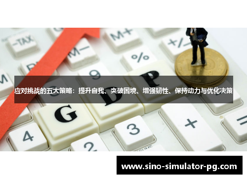 应对挑战的五大策略：提升自我、突破困境、增强韧性、保持动力与优化决策