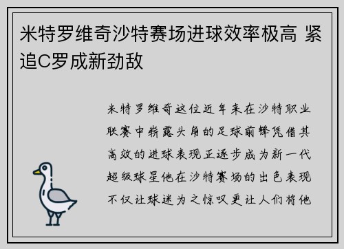 米特罗维奇沙特赛场进球效率极高 紧追C罗成新劲敌 米特罗维奇沙特赛场进球效率极高 紧追C罗成新劲敌